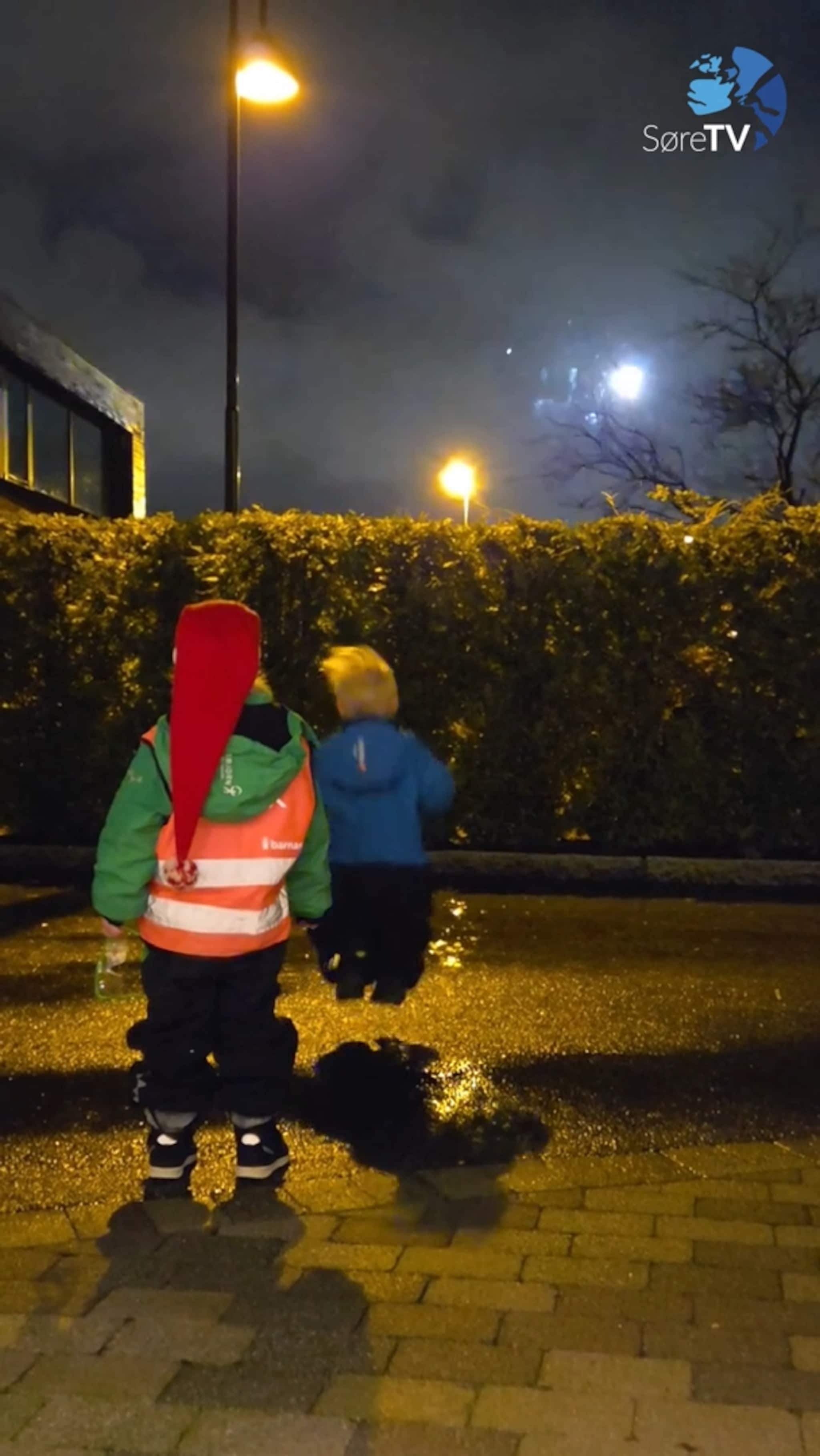 Hoppande glade for fyrverkeri