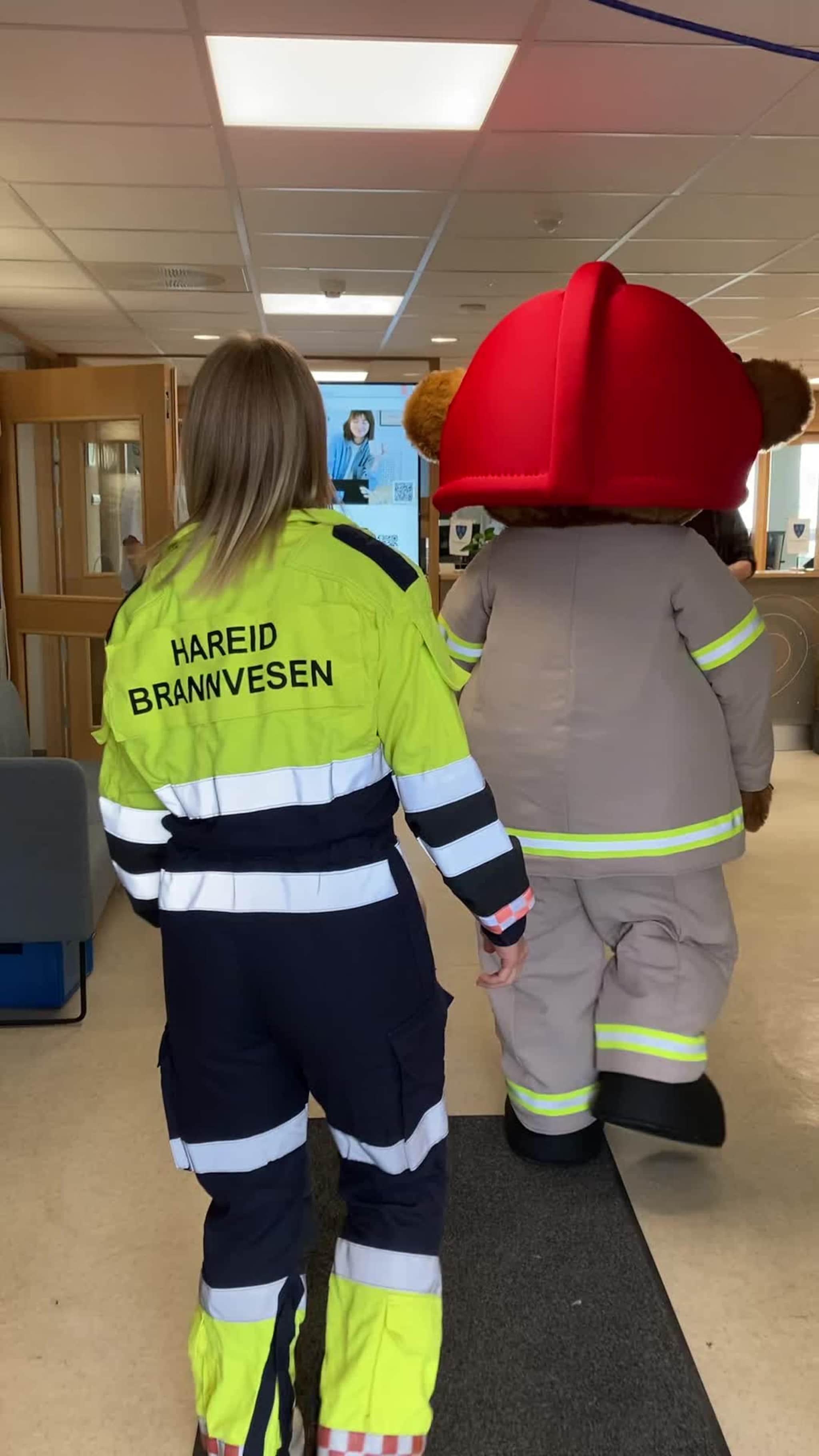 Bjørnis besøkte Hareid rådhus