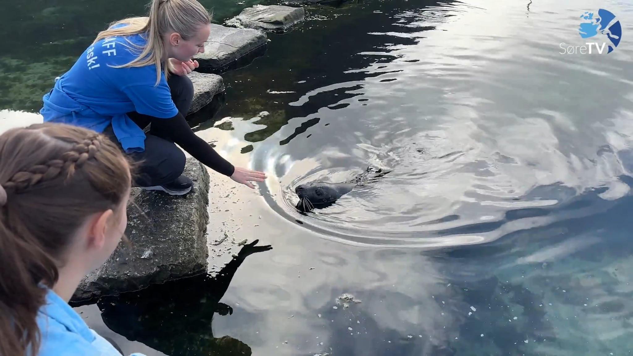 Bli med på ein dag som akvarist