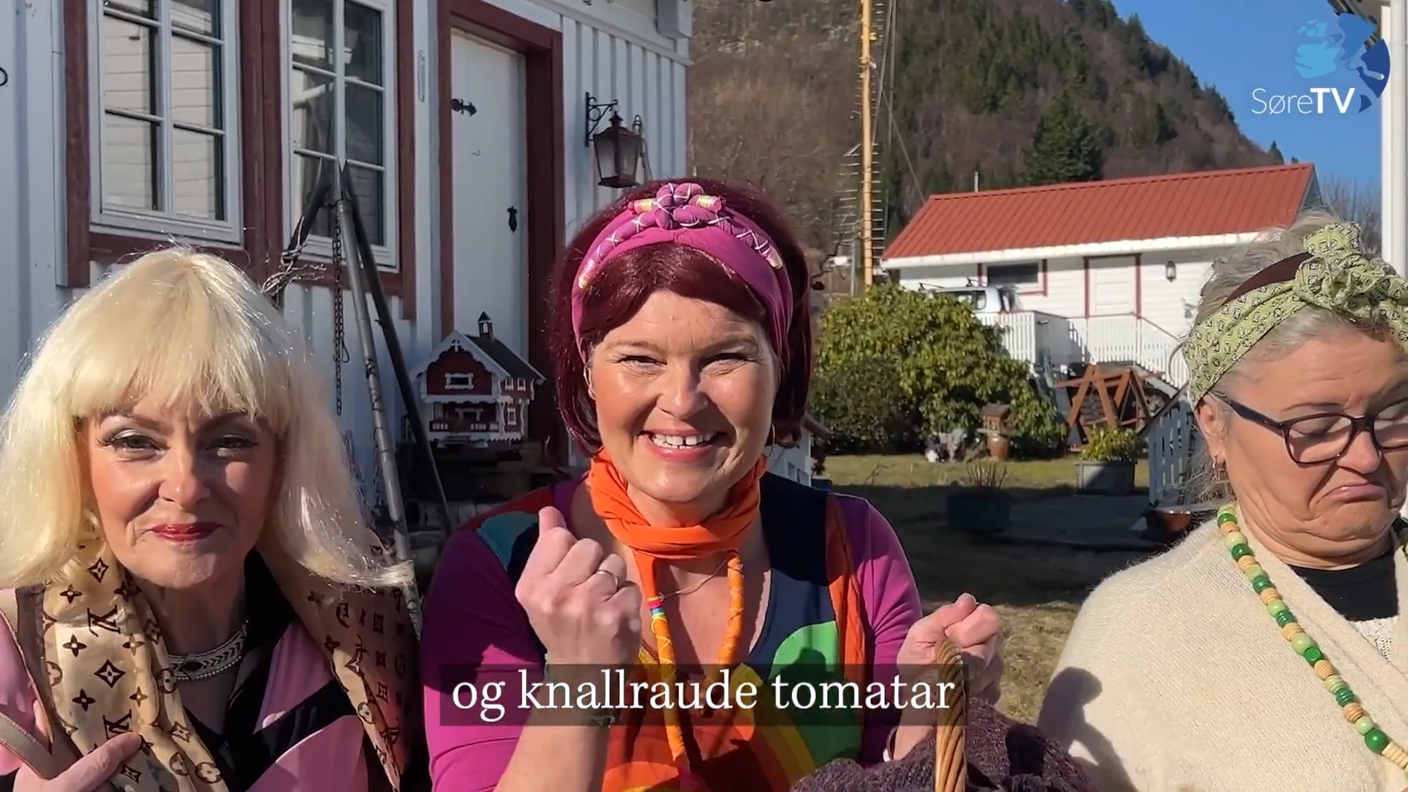 Folk og fjas - Matvareprisar