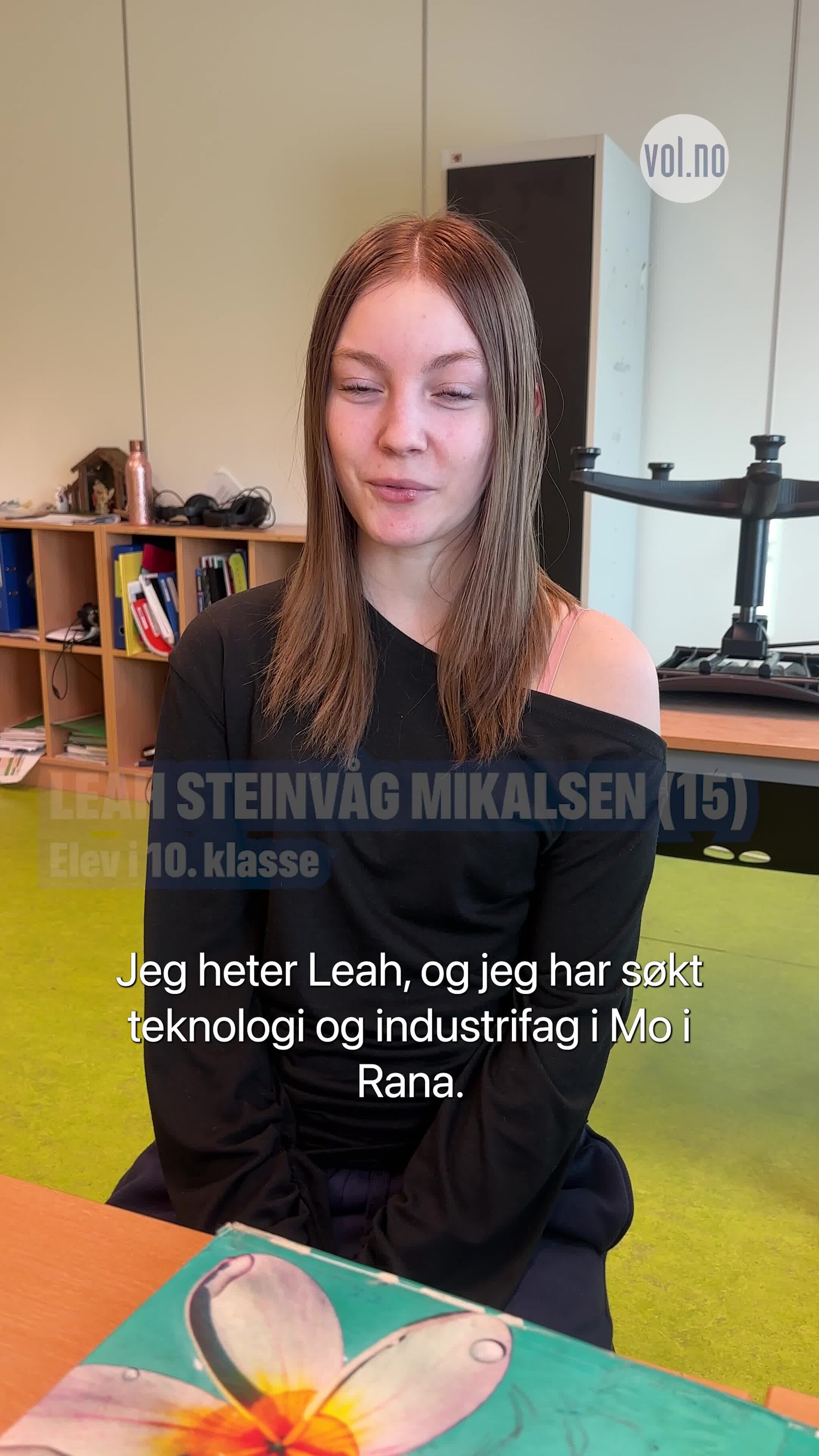 - Jeg vil bli bilmekaniker